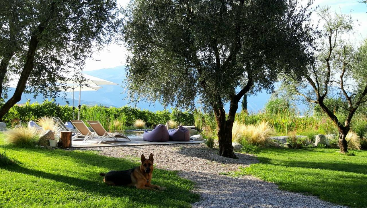 Agritur Fiore D'Ulivo Riva del Garda Exterior photo